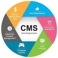 technologies-cms-icon